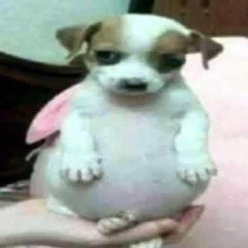 edu benjita uwu