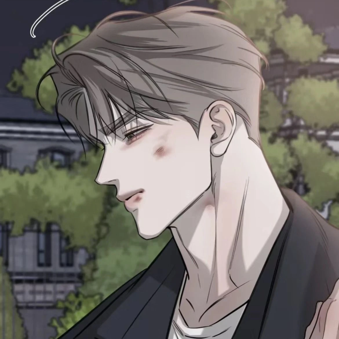 damin [bl-top] thumbnail