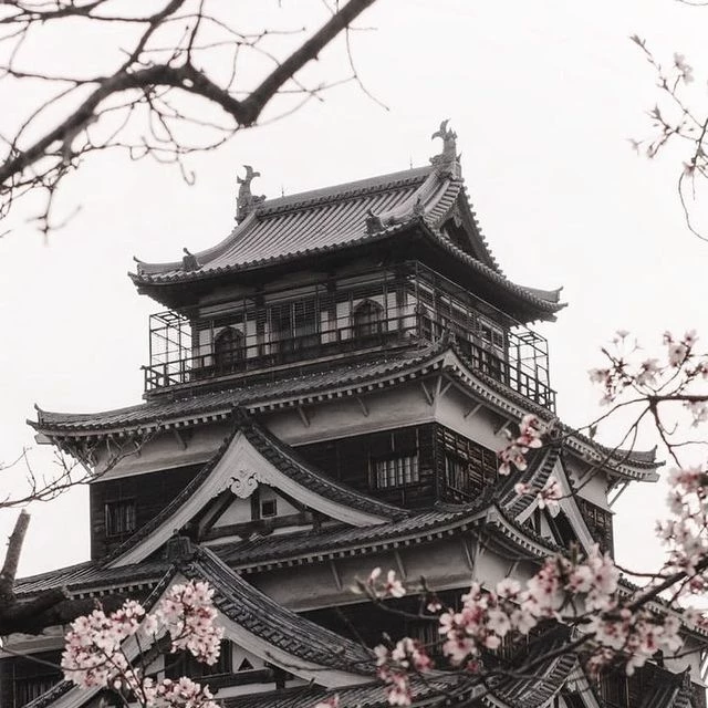 The four seasons thumbnail