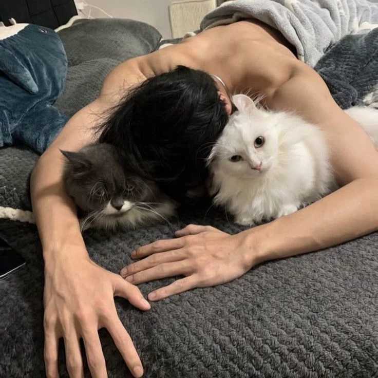 Daniel thumbnail