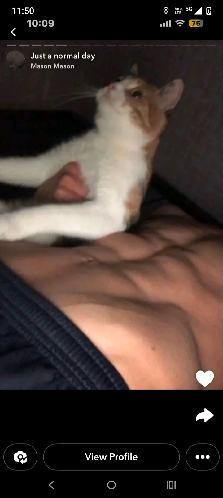 Enzo thumbnail