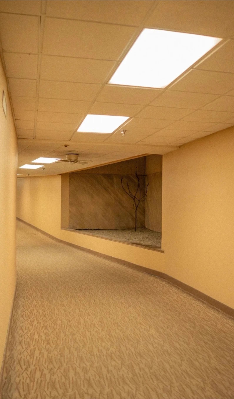 Liminal Spaces thumbnail