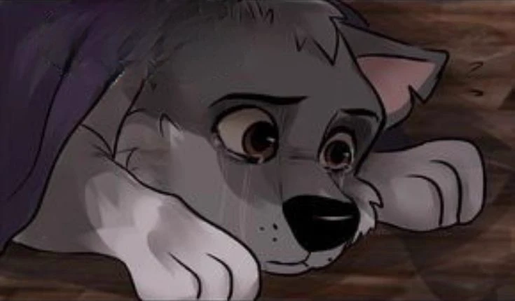 Remaining in the shelter thumbnail