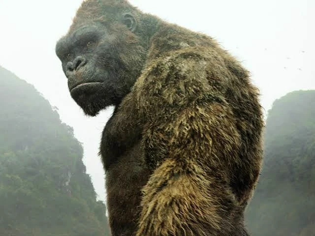 Kong thumbnail