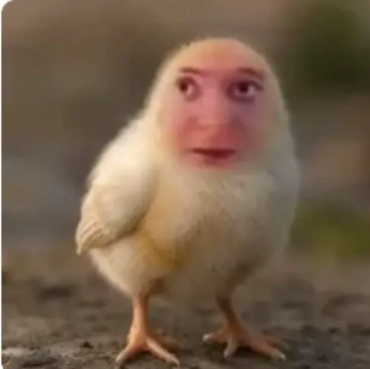 Chick thumbnail