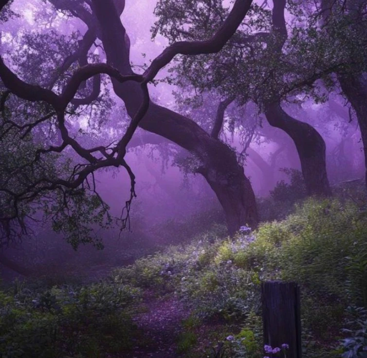 RP Wonderland thumbnail