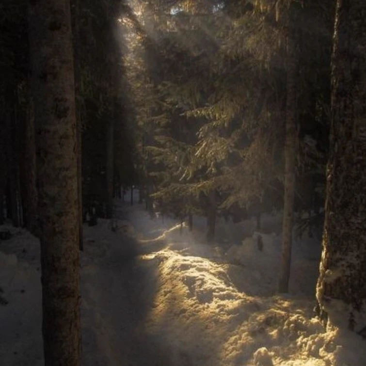 RPG winter forest thumbnail