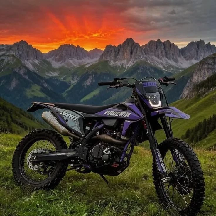 Dirt bikes - Forest thumbnail