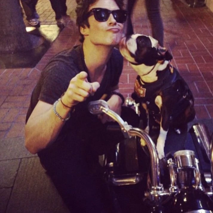 Damon salvatore thumbnail
