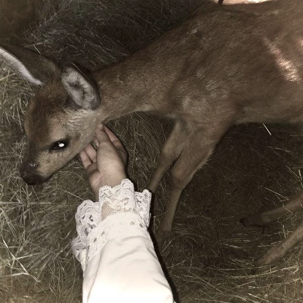 Serafina