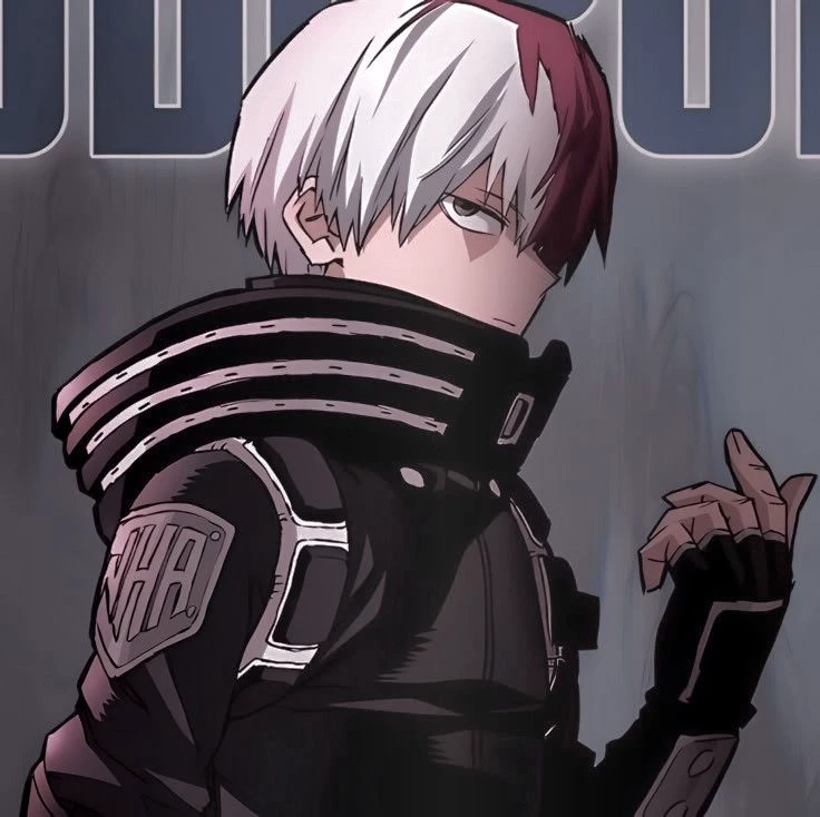 Shoto Todoroki thumbnail