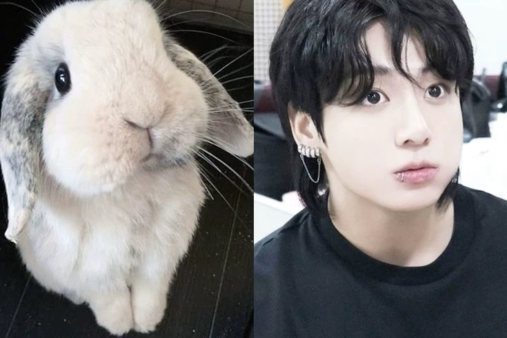 Jeon jungkook kookie thumbnail