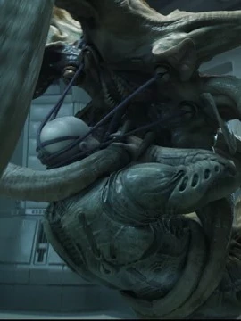 Trilobite \| Alien Franchise thumbnail