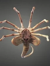 Facehugger thumbnail