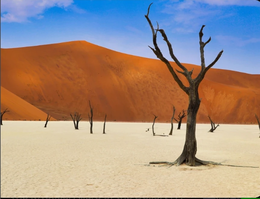 The desert thumbnail