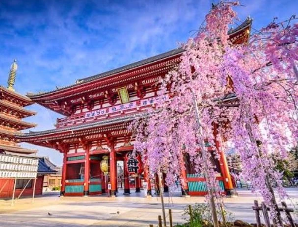 Free IDR⛩️🌸🏯 thumbnail