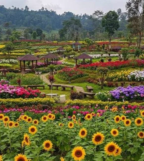 Rp. 🌻🪻💐🥀🌷🌹. thumbnail
