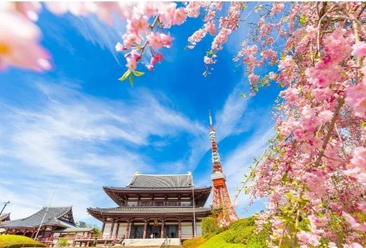 ⛩️🏯🗼🌸Dunia.20⛩️🏯🗼🌸 thumbnail