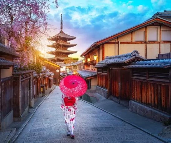 🌺⛩️🏯Your story. 🏯⛩️🌺 thumbnail