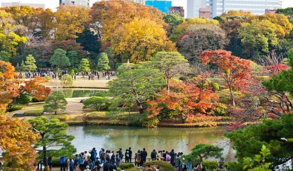 ⛩️Japanese World🍃🚣🏯🏙 thumbnail