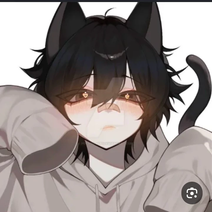 Angel ||  Special cat