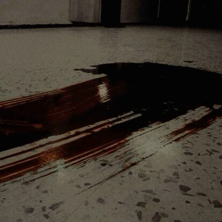Murder in the School Bathroom (Detective) thumbnail