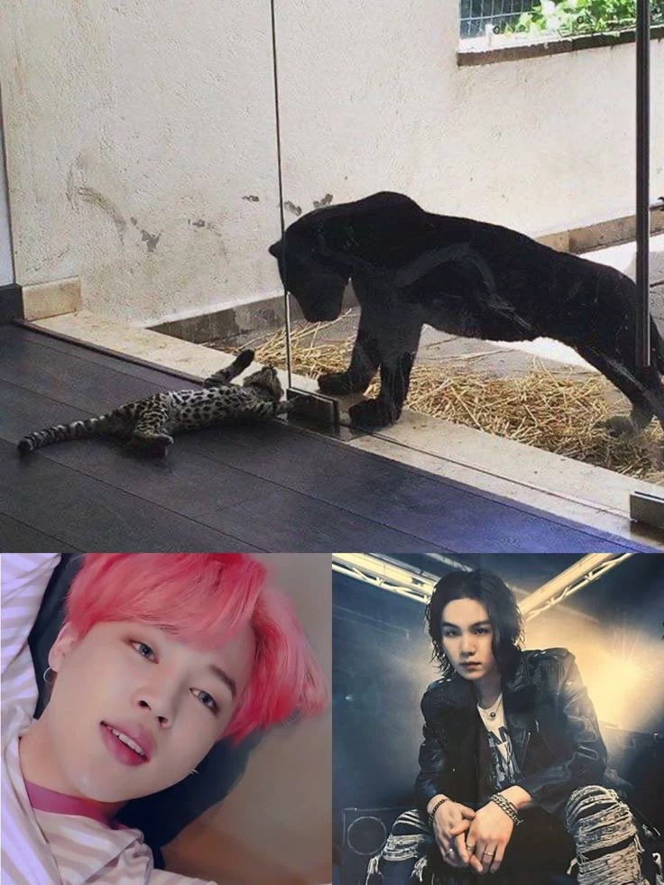 Yoonmin thumbnail