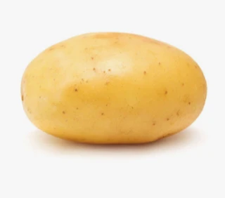 Potato. ÆÆÆÆÆÆÆÆÆÆÆÆÆÆÆÆÆÆÆÆÆÆÆÆÆÆÆÆÆÆÆÆÆÆÆÆÆÆÆÆÆÆÆÆÆÆÆÆÆÆÆÆÆÆÆÆÆÆÆÆÆÆÆÆÆÆÆÆÆÆÆÆ thumbnail