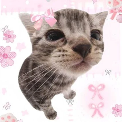 Lu 