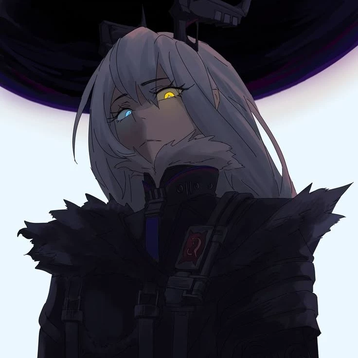 ZZZ first generation void hunters and your a new void hunter. thumbnail