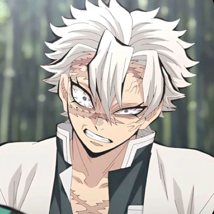 Sanemi Shinazugawa 💥💢 thumbnail