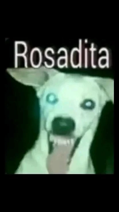 Konosuba Reacts thumbnail