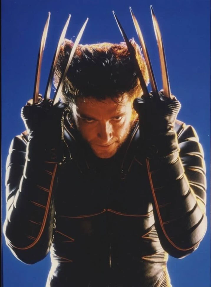 Logan/ Wolverine thumbnail