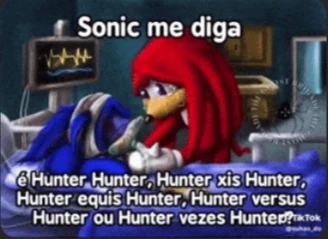 Knuckles and Sonic thumbnail