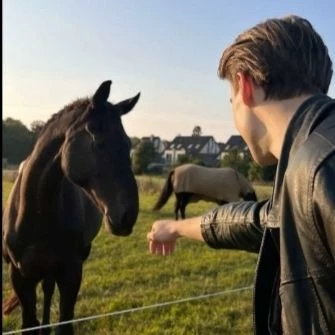 4 guys and a dangerous horse thumbnail