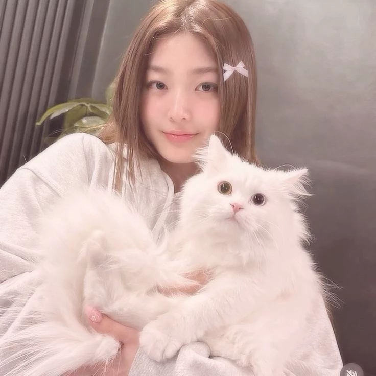 Yoonchae