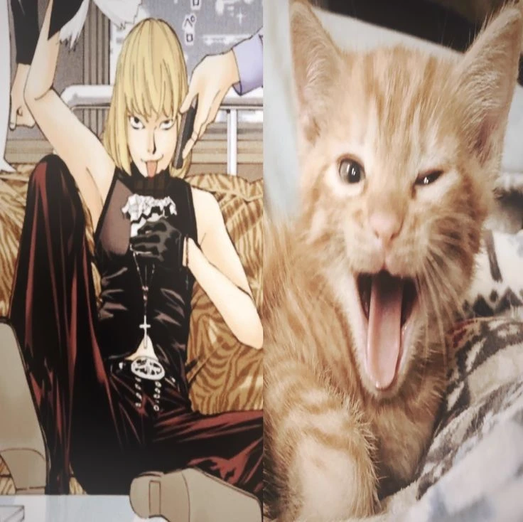 Mello (Michael Kehl) thumbnail