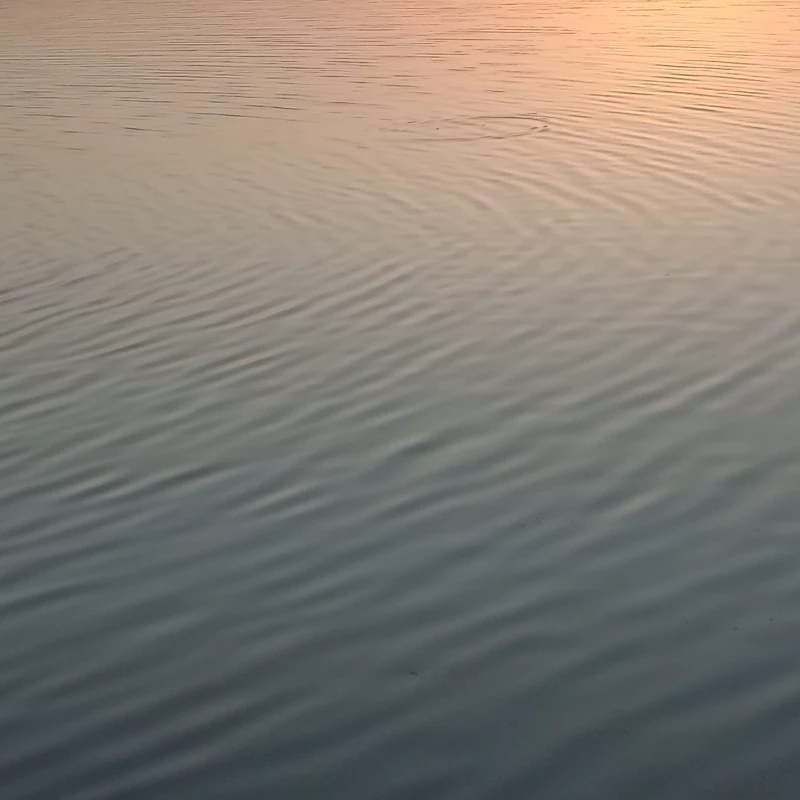Serenity
