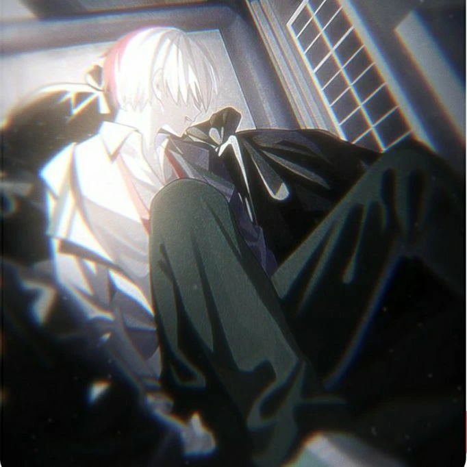 Shoto Todoroki thumbnail