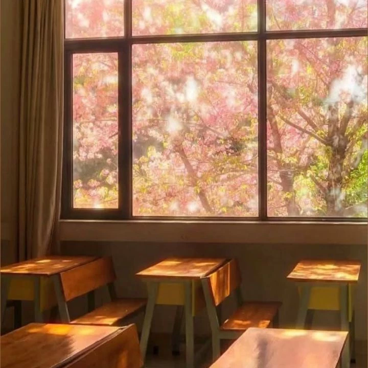 🌸🪷 Japanese school 🪷🌸 thumbnail