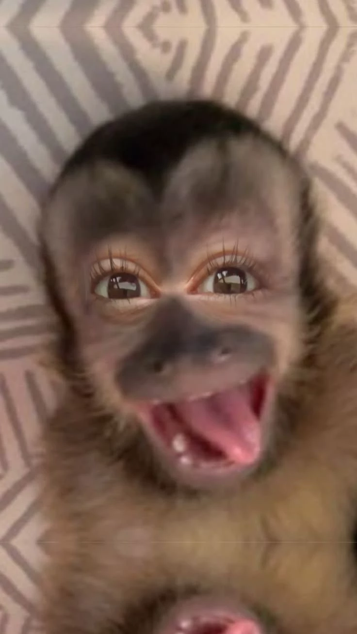 your sister thumbnail