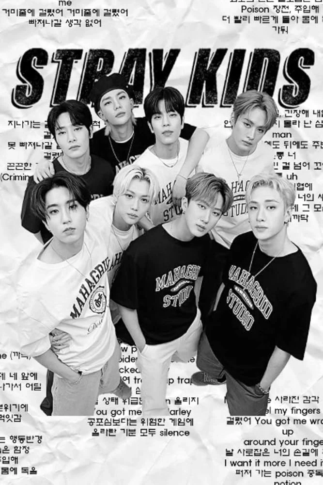 Stray Kids -BL thumbnail