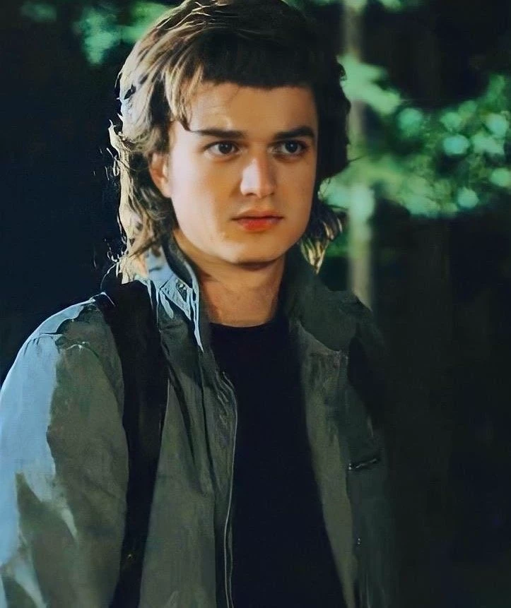 Steve Harrington thumbnail