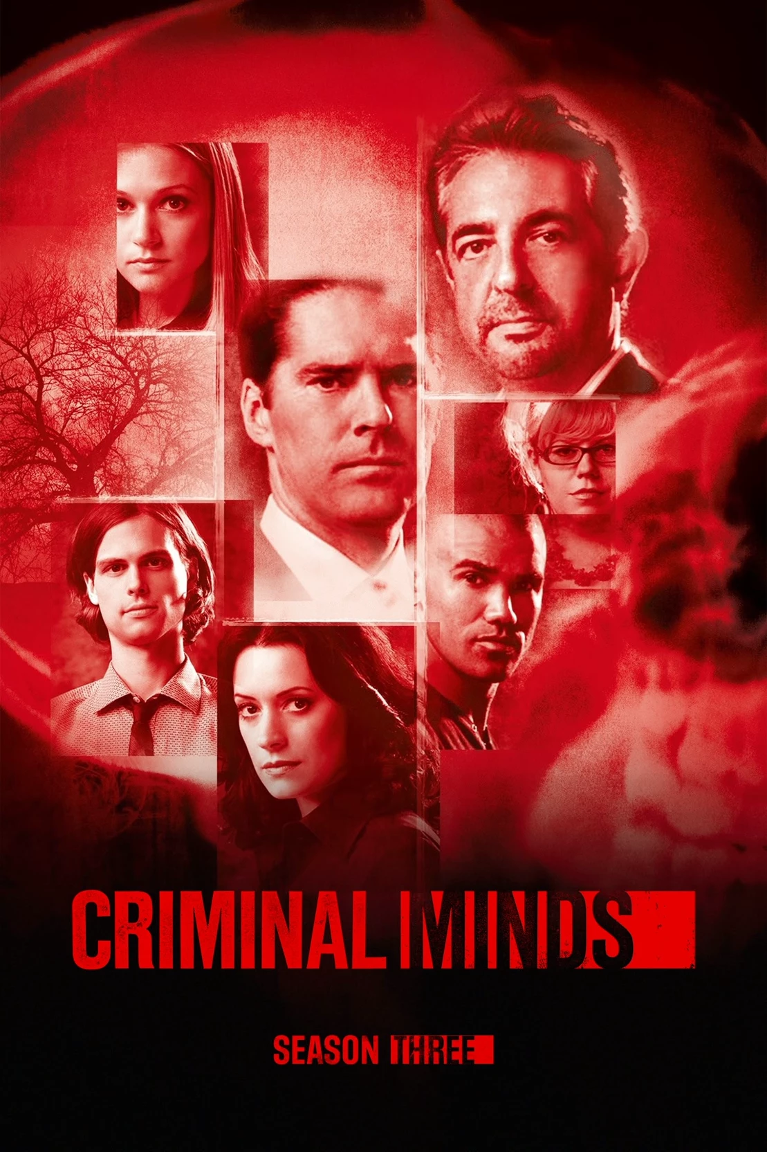 Criminal Minds: The Boy in the Empty House thumbnail