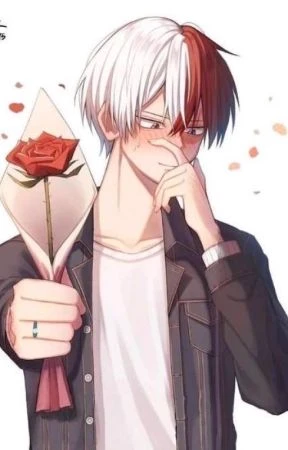 Shoto Todoroki  thumbnail