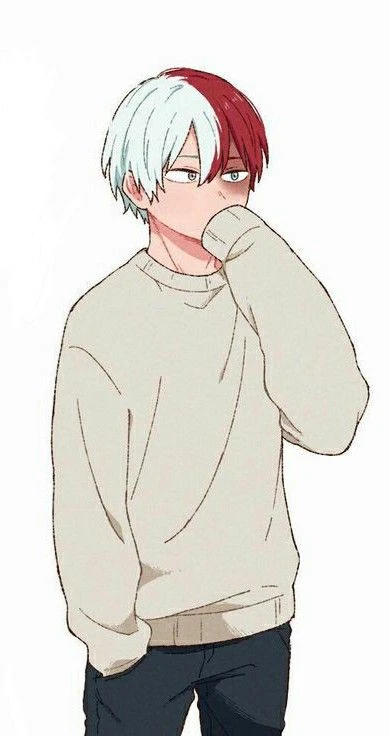 Shoto Todoroki  thumbnail
