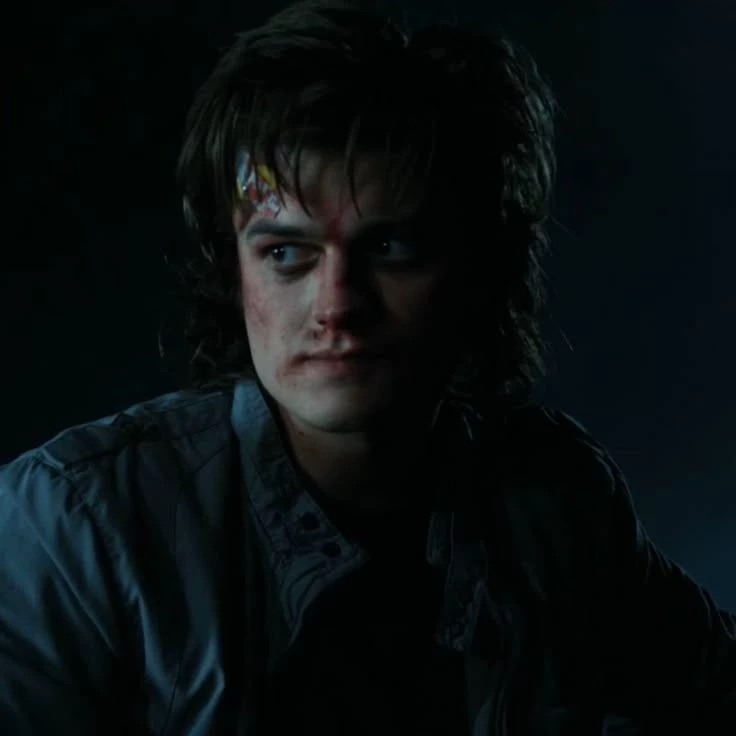 Steve Harrington thumbnail