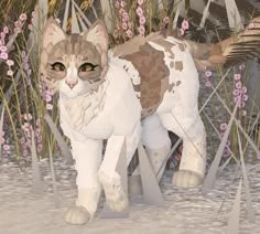 domestic cats thumbnail