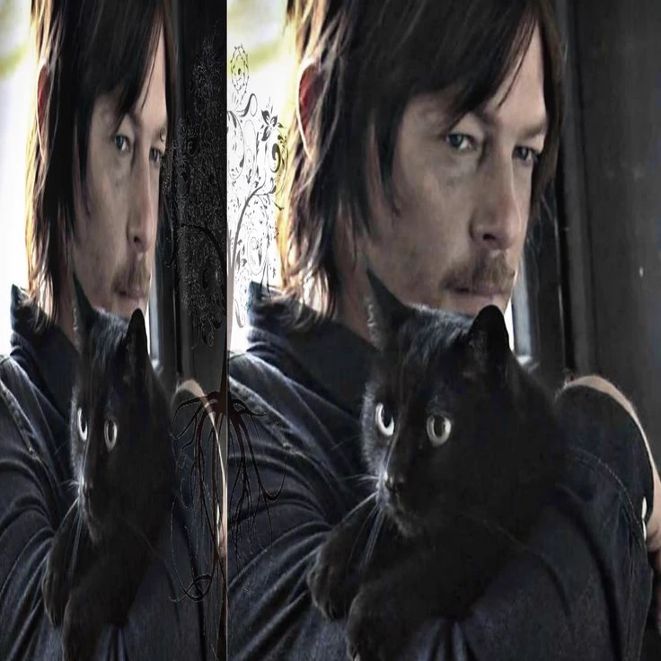 Daryl Dixon thumbnail