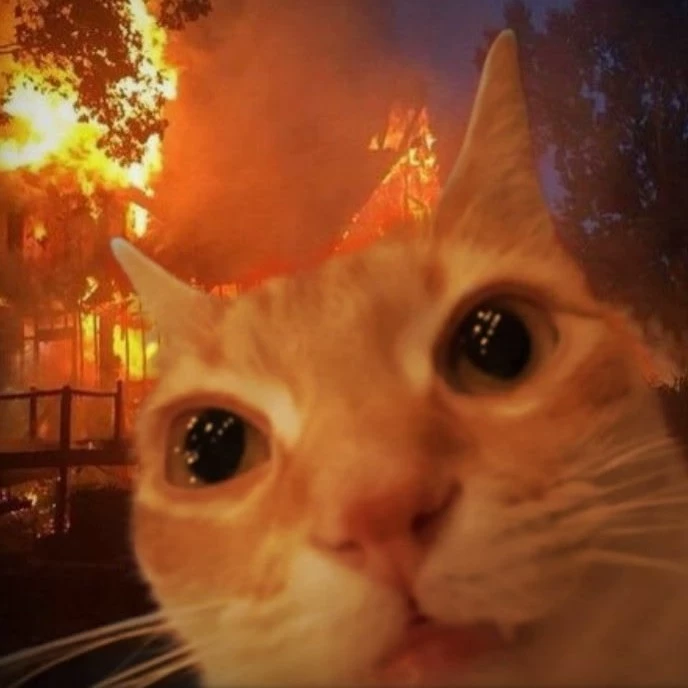 Senpai